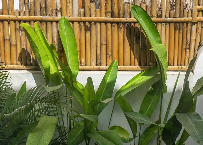 Casadou - Curated 1br Boutique Near The Beach! Villa Uluwatu